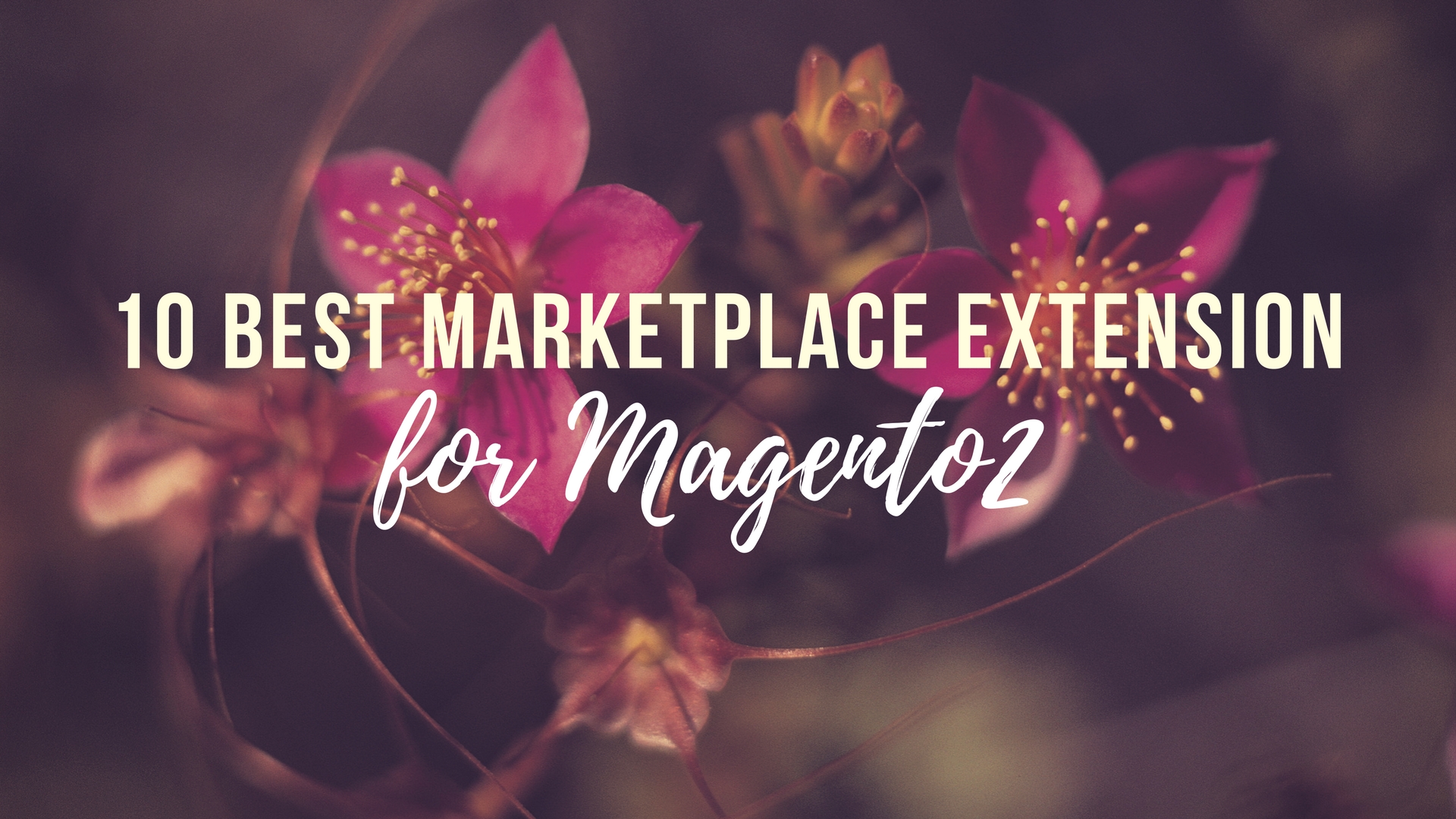 10 Best magento 2 marketplace extension