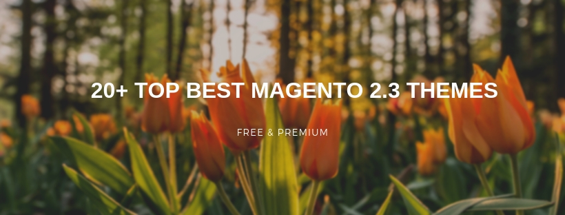 TOP 20+ BEST MAGENTO 2.3 THEMES