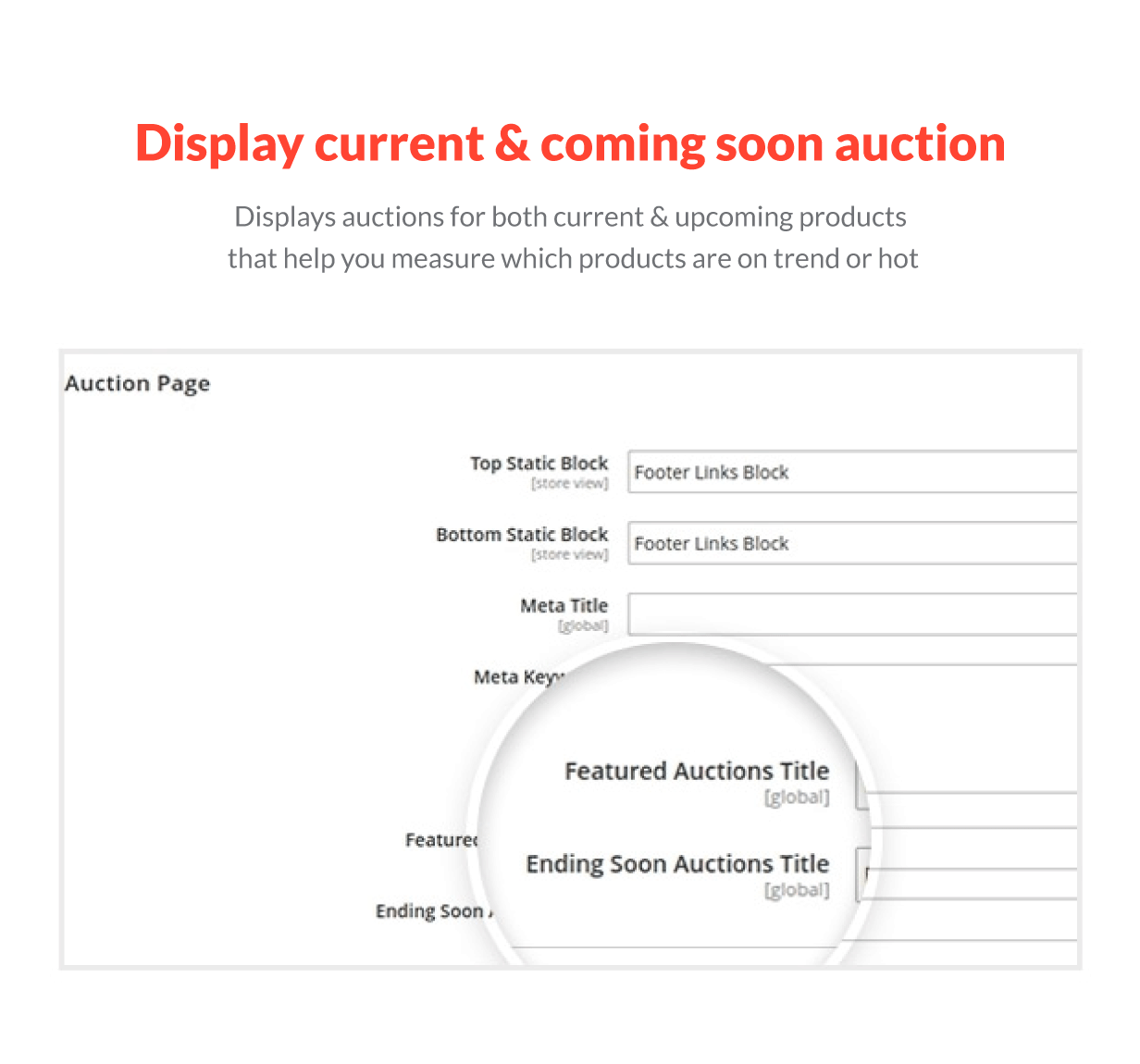 Available Auction For Current & Upcoming Product